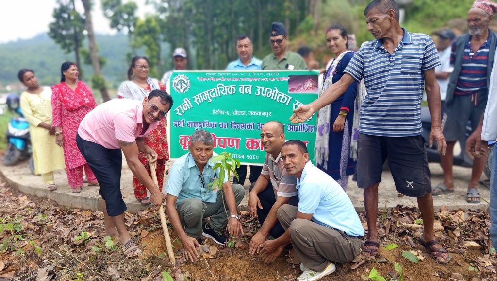 रानी सामुदायिक  वनमा वृक्षारोपण