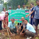 रानी सामुदायिक  वनमा वृक्षारोपण